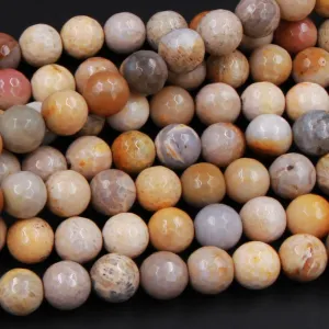 A Grade Natural Fossil Coral Faceted Round Beads 6mm Round Beads 8mm Round Beads Faceted 10mm Round Beads Brown Tan Beige Beads 16" Strand